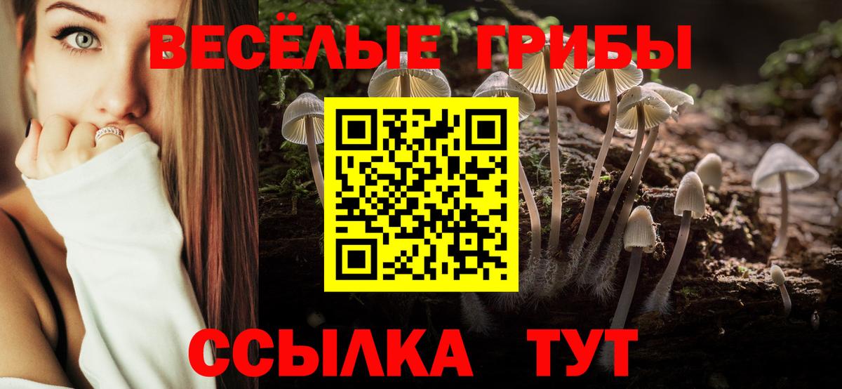 как найти закладки  Псилоцибиновые грибы Psilocybine cubensis  Вход с VPN  Отрадное  Псилоцибиновые грибы Psilocybe 
